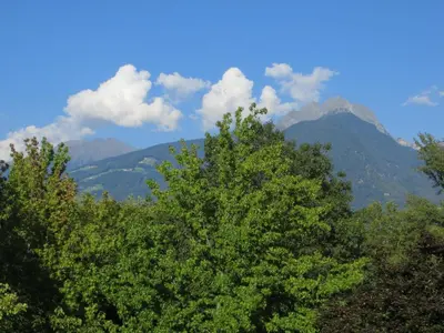 a view of a mountain range with trees in the foreground at Appartamento Panoramico Lungopassirio in Merano