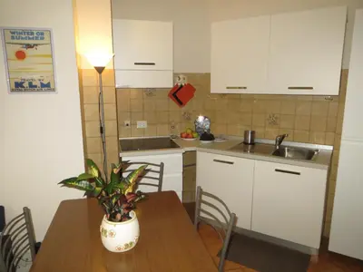 a kitchen with a table with a potted plant on it at Appartamento Panoramico Lungopassirio in Merano