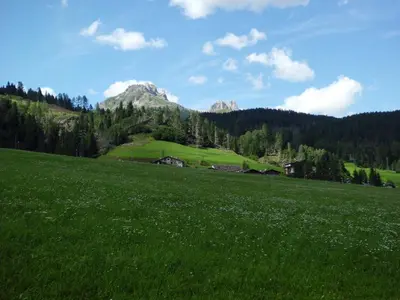 a field of green grass with mountains in the background at Casa Venturini in Moena