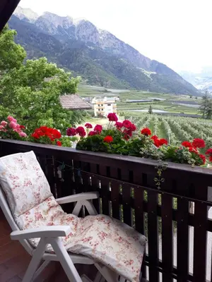 a chair sitting on a balcony with flowers at GRETL - Residence in Parcines