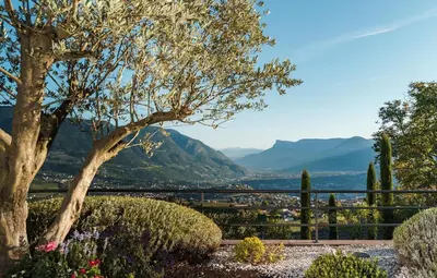 a tree in a garden with mountains in the background at Hotel Lechner in Tirolo