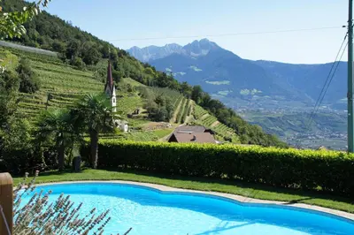 a swimming pool with a view of a mountain at Oberangerhof in Lagundo