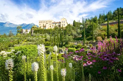 a garden with flowers and a castle in the background at Pension Verdinserhöhe in Schenna