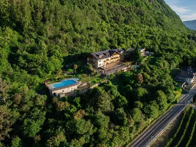 an aerial view of a house in the forest at Hotel Tannhof in Caldaro
