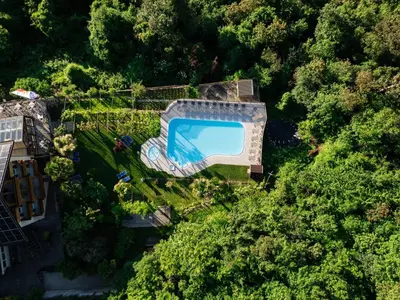 an overhead view of a swimming pool in a forest at Hotel Tannhof in Caldaro