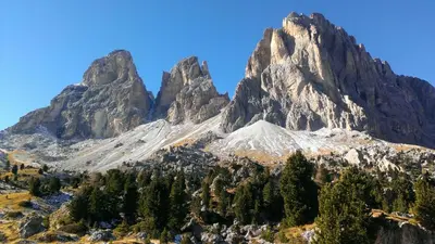a mountain with trees in front of it at Artitsch in Santa Cristina in Val Gardena