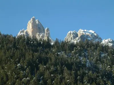a mountain with trees in front of it at Casa Elisa in Pozza di Fassa