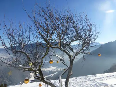 a tree with fruit on it in the snow at Berggasthof Häusler in San Lorenzo di Sebato