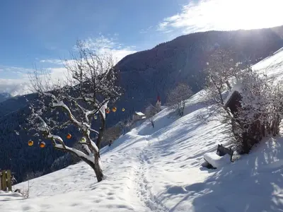 a snow covered hill with an orange tree on it at Berggasthof Häusler in San Lorenzo di Sebato