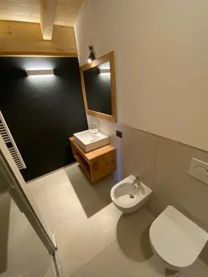 a bathroom with a toilet and a sink at Cèsa Prinoth in Campitello di Fassa