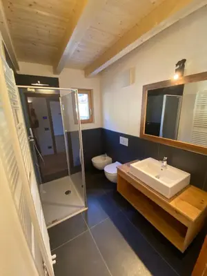 a bathroom with a sink and a shower and a toilet at Cèsa Prinoth in Campitello di Fassa