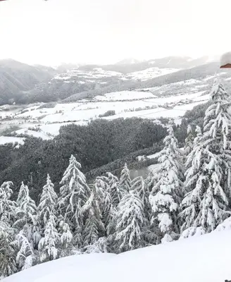 a group of snow covered trees on top of a mountain at Forchnerhof Panorama - Dolomitenblick in Rodengo