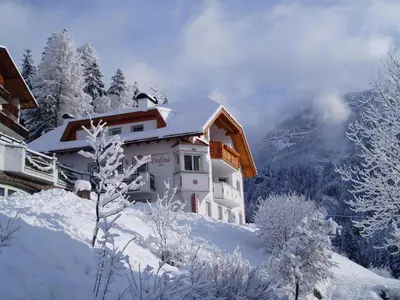 a house on a snowy hill with snow covered trees at Apartments Dolina in Ortisei