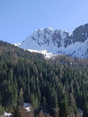 a mountain with trees and a snow covered mountain at La Stella Alpina in Colle Isarco