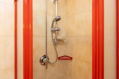 a shower with a shower head in a bathroom at Ciasa de Vich in Vigo di Fassa