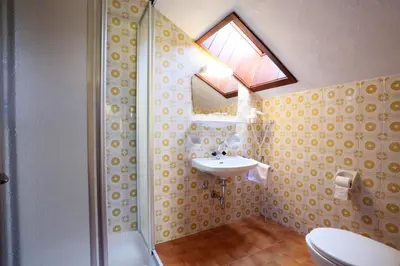 a bathroom with a shower and a sink and a toilet at Hotel Pichlerhof in San Lorenzo di Sebato