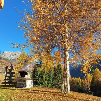 a tree standing next to a house in the fall at Cesa de Conesel in Colle Santa Lucia