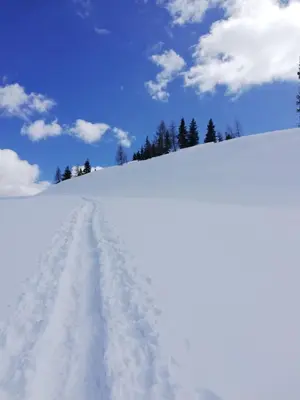 a snow covered hill with trees in the background at Cesa de Conesel in Colle Santa Lucia