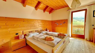 a bedroom with two beds in a wooden room at Apartment HaNiLe in Sarntal