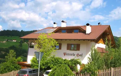 a house with birds sitting on top of it at Pitterle Hof in Meltina