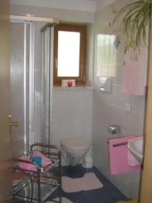 a bathroom with a toilet and a sink at Pitterle Hof in Meltina