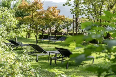 a row of lounge chairs in a park at Ansitz Romani in Termeno