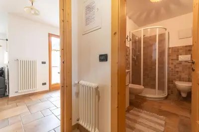 a bathroom with a shower and a toilet at Casa De La Veisc in Pozza di Fassa