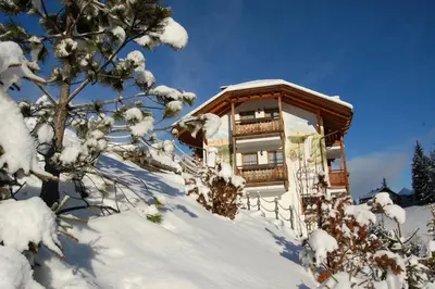 a house on a snowy hill with snow covered trees at Chalet alla Cascata in Badia