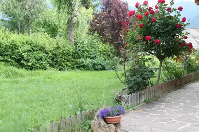 a garden with a flower pot and a bush with roses at Garnì Goccia d'Oro in Cavalese