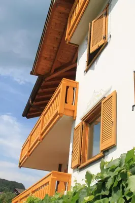 a building with wooden shutters on it at Garnì Goccia d'Oro in Cavalese