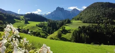 a green valley with trees and mountains in the background at Sonnenresidenz Kastelruth in Castelrotto