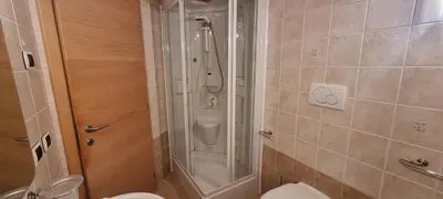 a bathroom with a shower and a toilet at Casa Soraruf in Campitello di Fassa