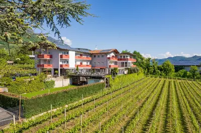 a house in a vineyard with a swimming pool at B&B Garni Erika in Termeno