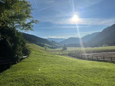 a grassy field with the sun in the sky at Steinwandterhof in Braies