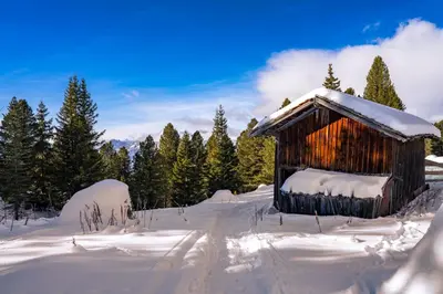a woodenshed covered in snow in a forest at Hotel Pordoi Passo Pordoi Vegetarian Hotel in Canazei