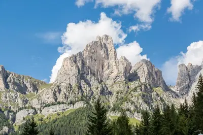 a mountain with trees in front of it at Hotel Garni la Stua in Selva di Cadore