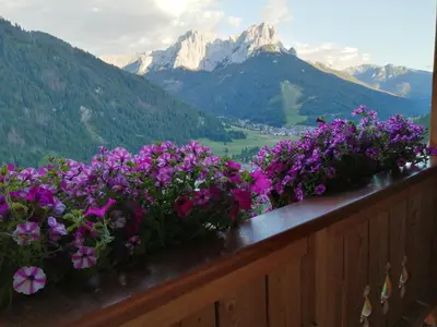 a bunch of purple flowers on a fence with mountains at Villetta Muncion in Pozza di Fassa