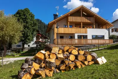 a pile of logs in front of a house at Editlodge 