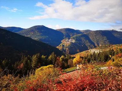 a view of a valley with mountains in the background at Maso Sveseri in Montesover