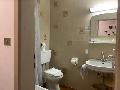 a bathroom with a toilet and a sink at Ciasa Soreghina in Colfosco