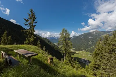 a bench on a hill with a view of a valley at Hotel Dolomiten in Monguelfo