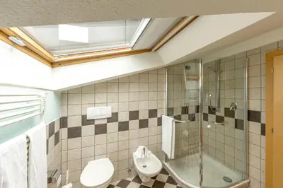 a bathroom with a shower and a toilet and a sink at Hotel Dolomiten in Monguelfo