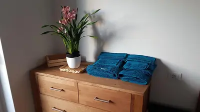 a table with two blue pillows and a plant on it at Dolomitica, nuovo, fino a 6 Persone in Vols am Schlern