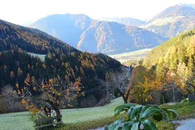 a bench on a hill with mountains in the background at Martlerhof Urlaub auf dem Bauernhof in Campo di Trens