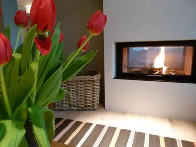 a vase with red tulips in a room with a fireplace at Pension Hauenstein in Lagundo