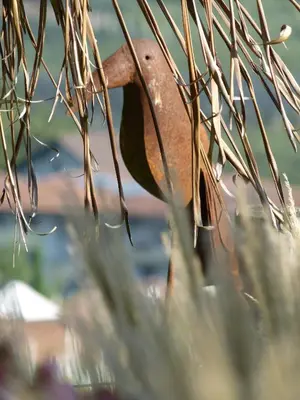 a bird sitting on a branch in some grass at Pension Hauenstein in Lagundo