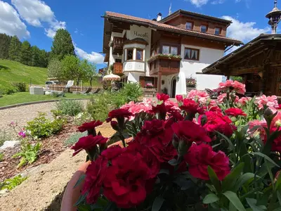 a pile of snow sitting on top of a table at Appartamenti Hacoli in Selva di Val Gardena