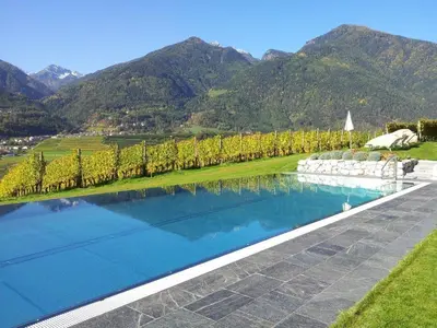 a pool of water with trees and mountains in the background at Hotel Pacherhof in Bressanone