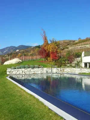 a pool of water in a yard with a stone wall at Hotel Pacherhof in Bressanone