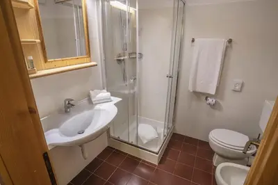 a bathroom with a shower and a sink and a toilet at Appartamenti Dolomiti con piscina e sauna in Cavalese